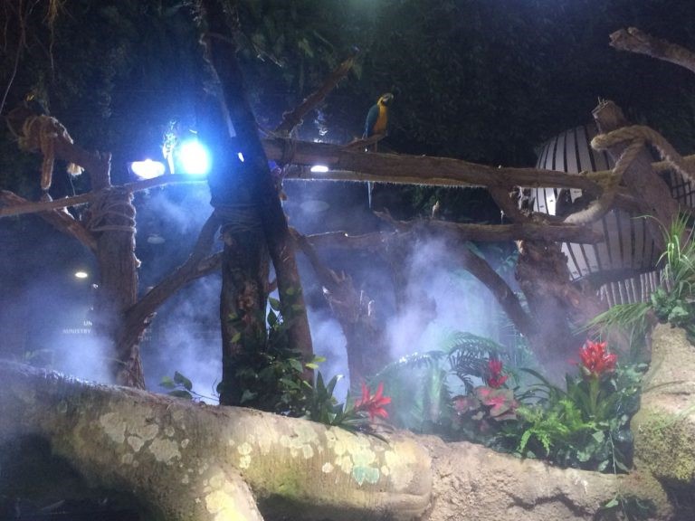 MIST FEATURES AND VISUAL EFFECTS by Cool Group International